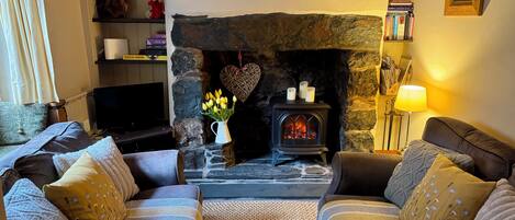 Smart TV, lareira, livros