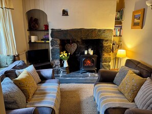 Smart TV, fireplace, books