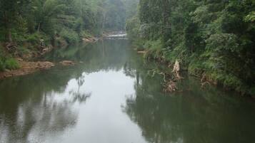 Pemandangan dari hartanah