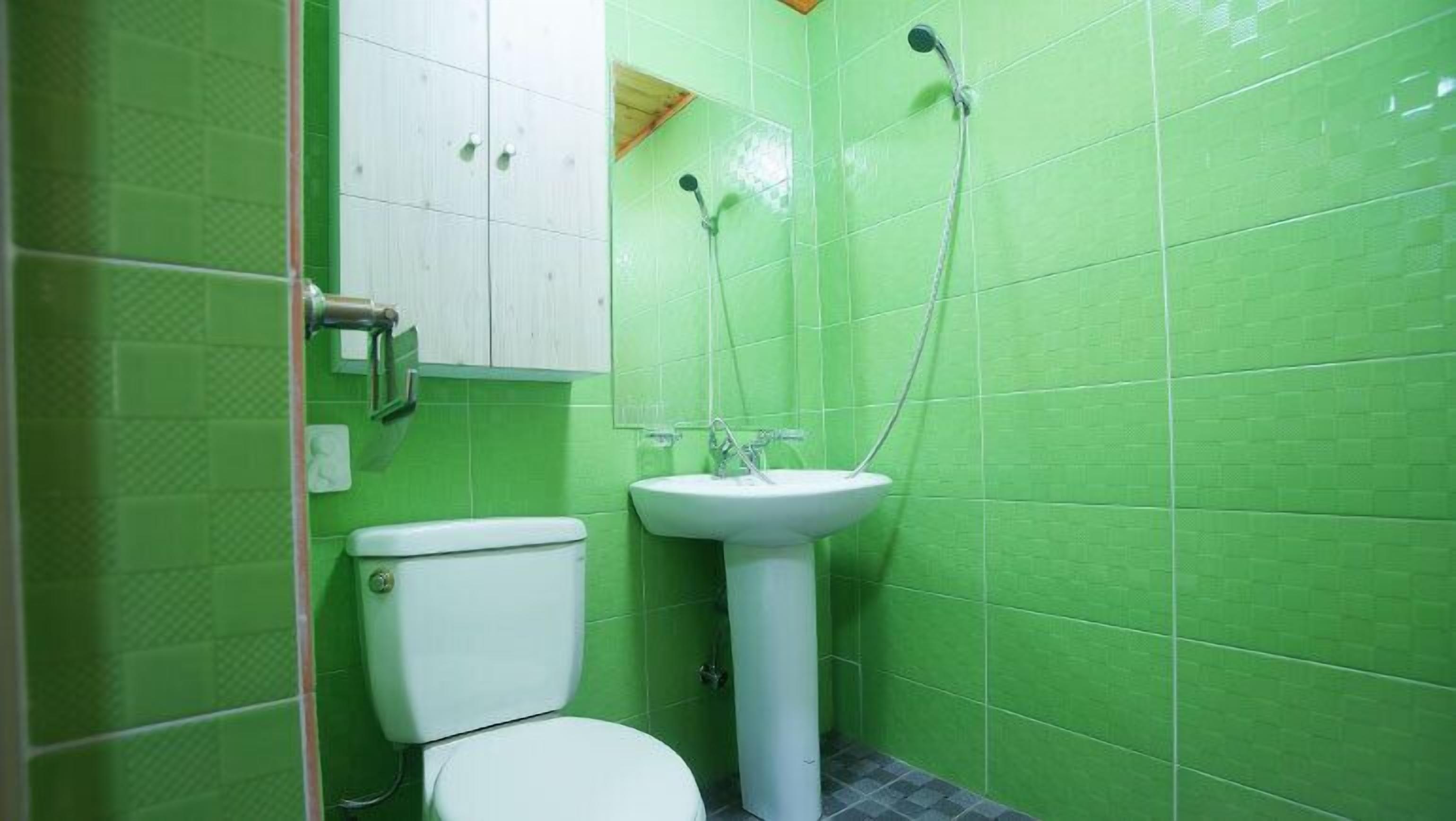 A bathroom with green tiles, a white toilet, a white sink, and a shower with a handheld showerhead.