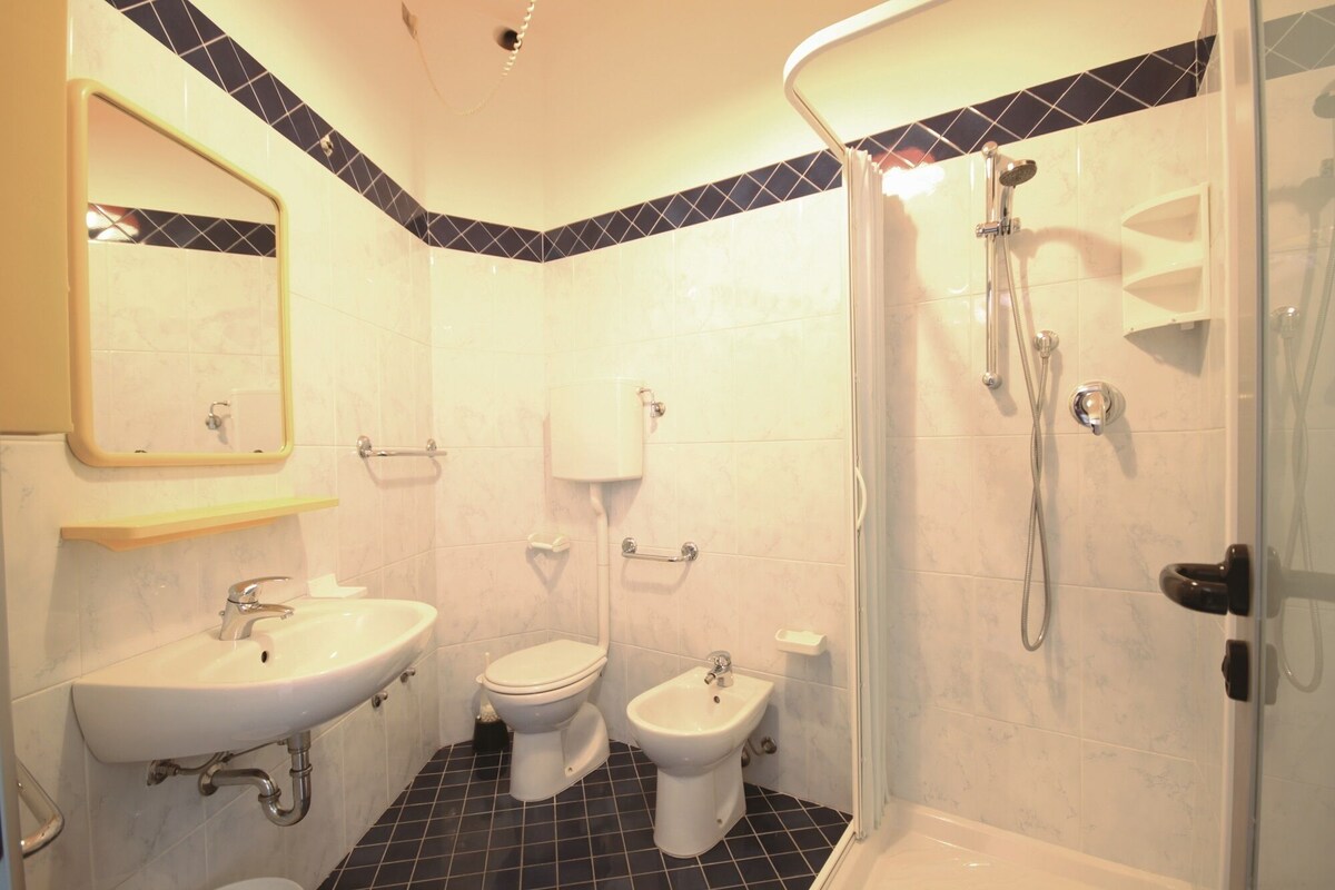 Shower, free toiletries, hair dryer, bidet