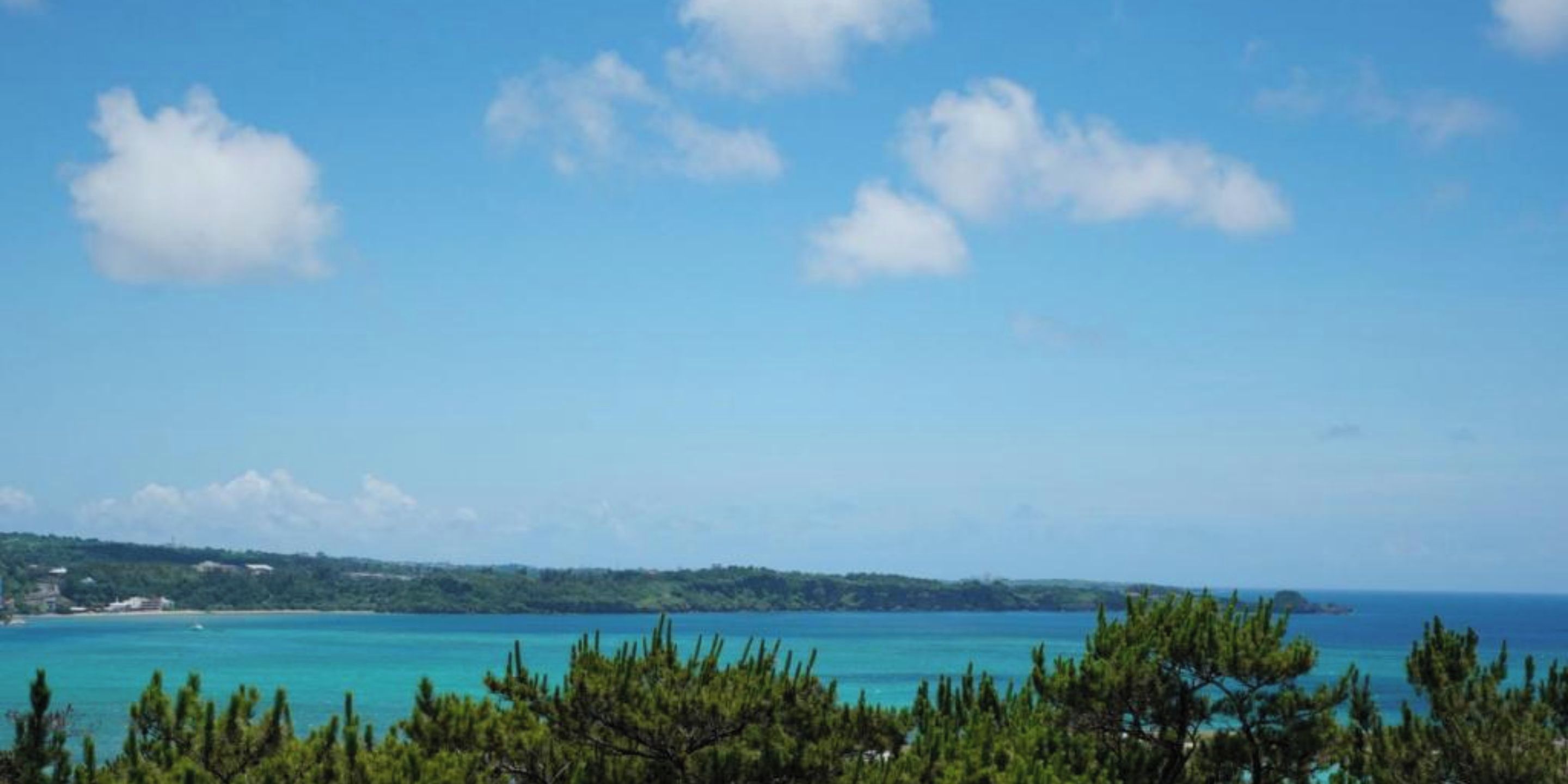 Paisaje costero con cielo despejado, mar turquesa y árboles verdes.