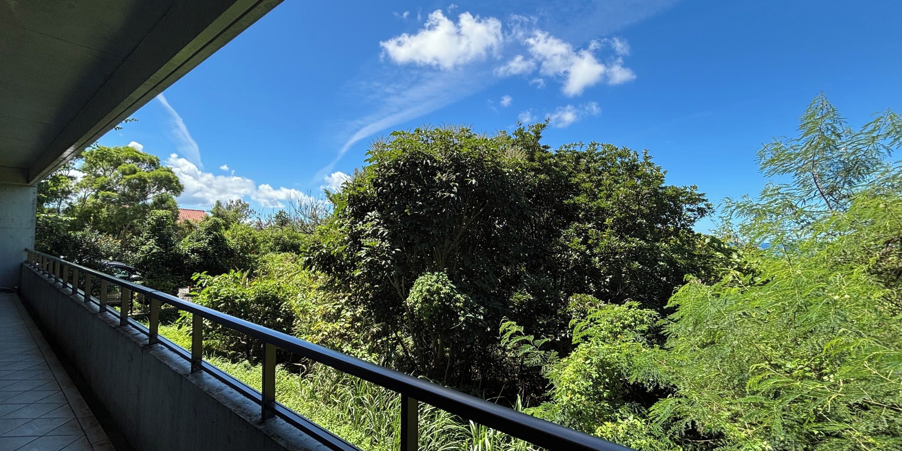 Varanda com grade de metal, vista para área verde exuberante com árvores e céu azul claro.