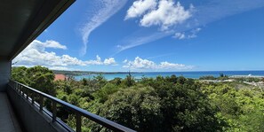 Suite, 3 Bedrooms, Non Smoking, 2nd Floor  | Balcony view