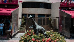 A building with a central statue of a giraffe, surrounded by a garden with red flowers. - Aconchego Frente Mar (Rio de Janeiro)