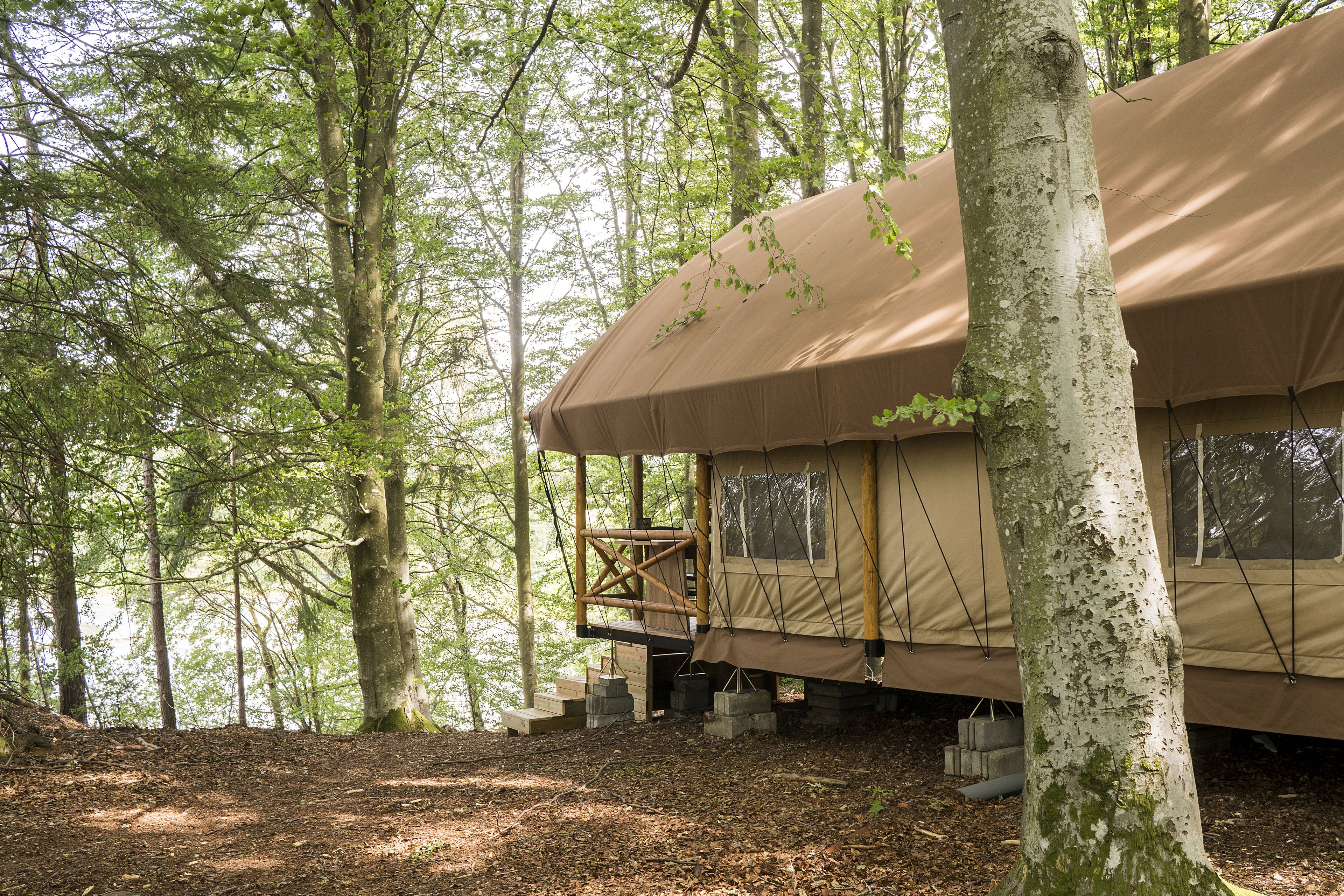 A forested area with a treehouse-like structure elevated on stilts, surrounded by tall trees.