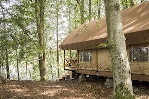A forested area with a treehouse-like structure elevated on stilts, surrounded by tall trees. - Anfasteröd Gårdsvik (Ljungskile)