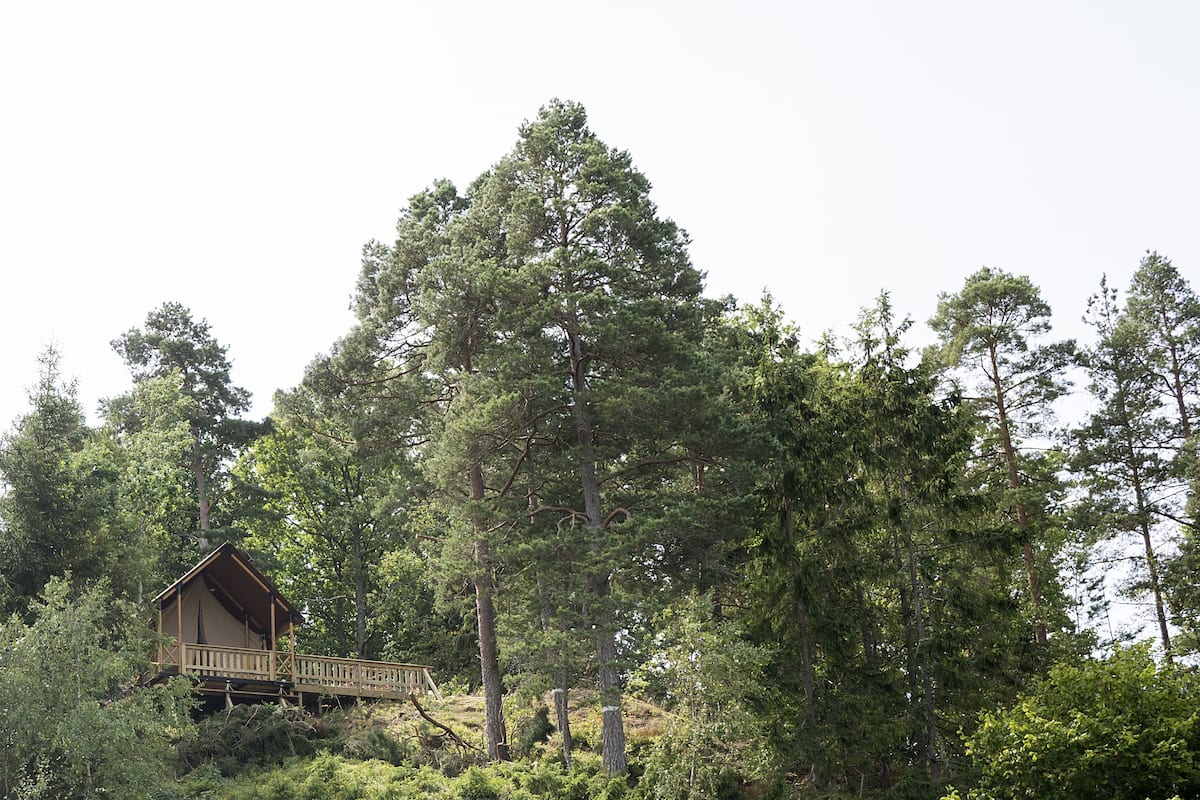 A wooden cabin with a deck, surrounded by dense forest.