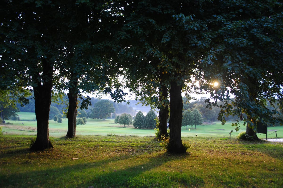 A park with trees and a grassy field.