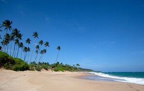 View from property - Turtle Paradise (Rekawa)