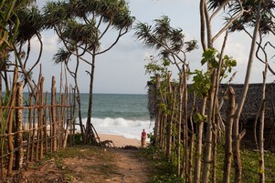 Vista desde la propiedad