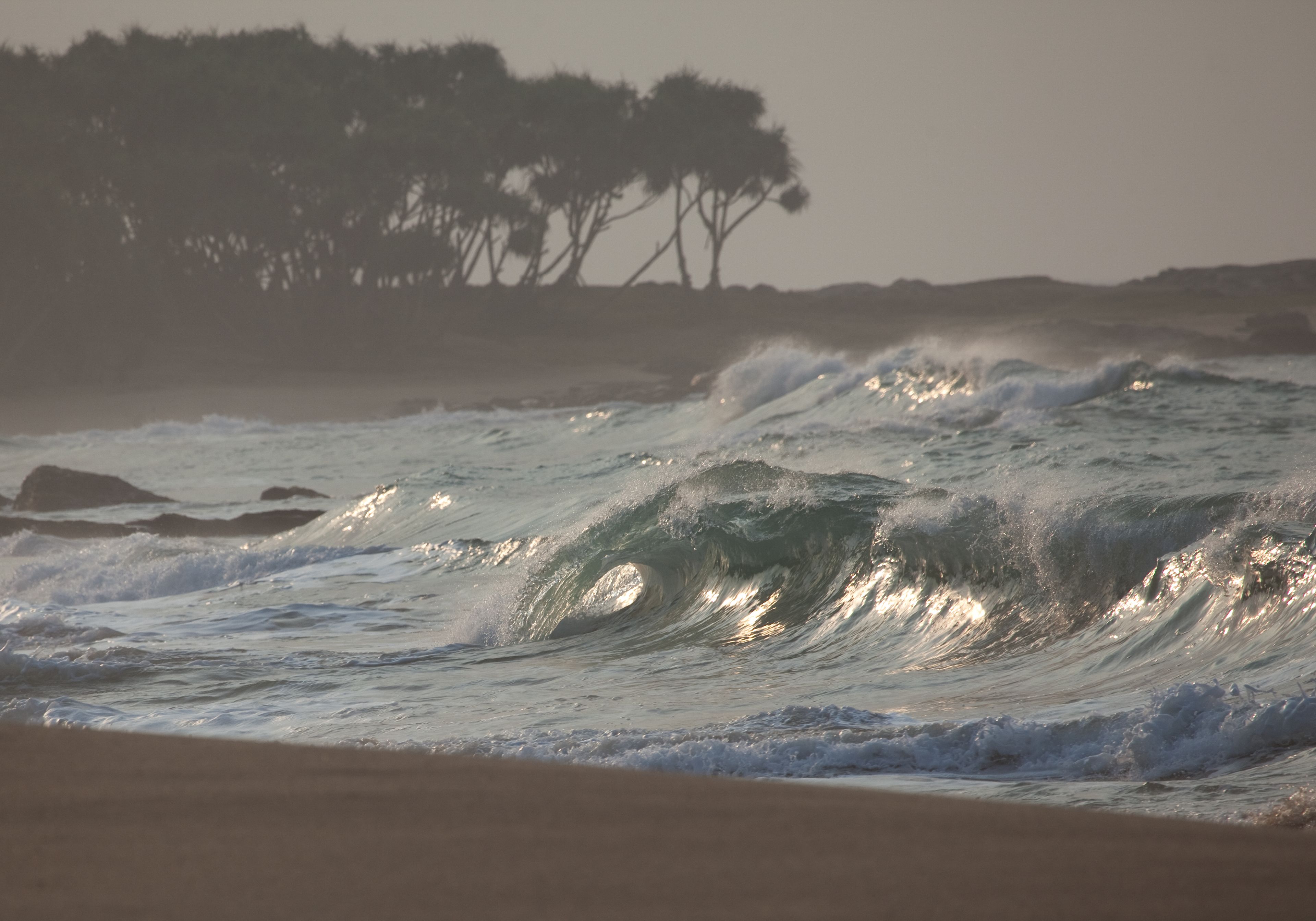 A beach with waves crashing onto the shore and trees in the background.