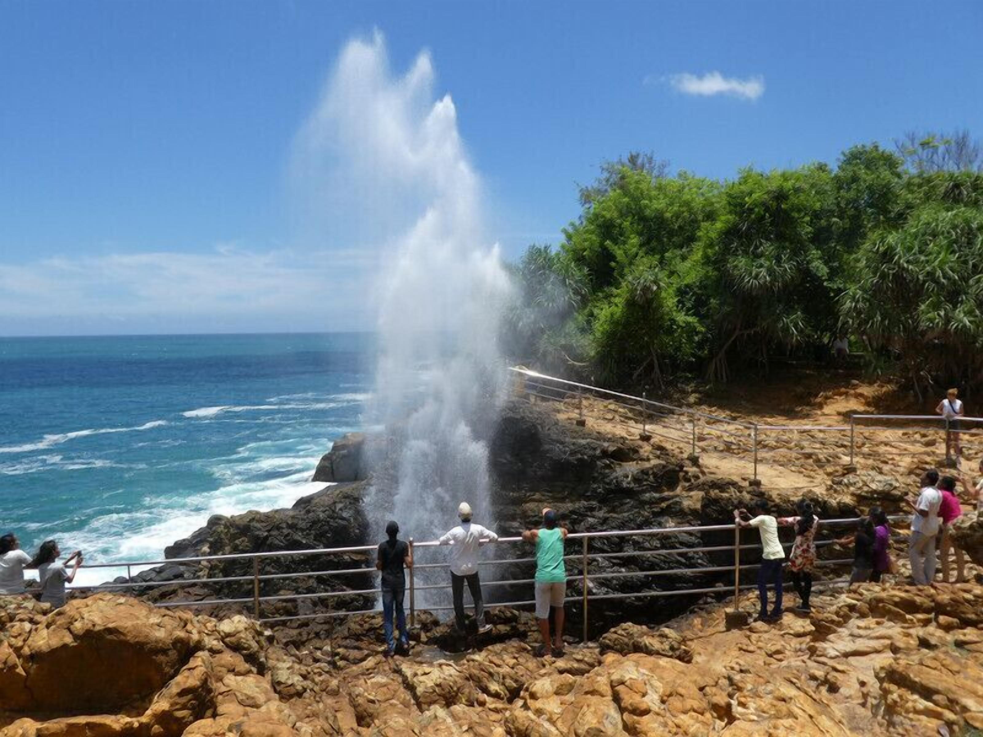 A rocky coastal area with a natural water spout, a viewing railing, and lush greenery.