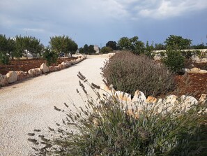Terrain de l’hébergement
