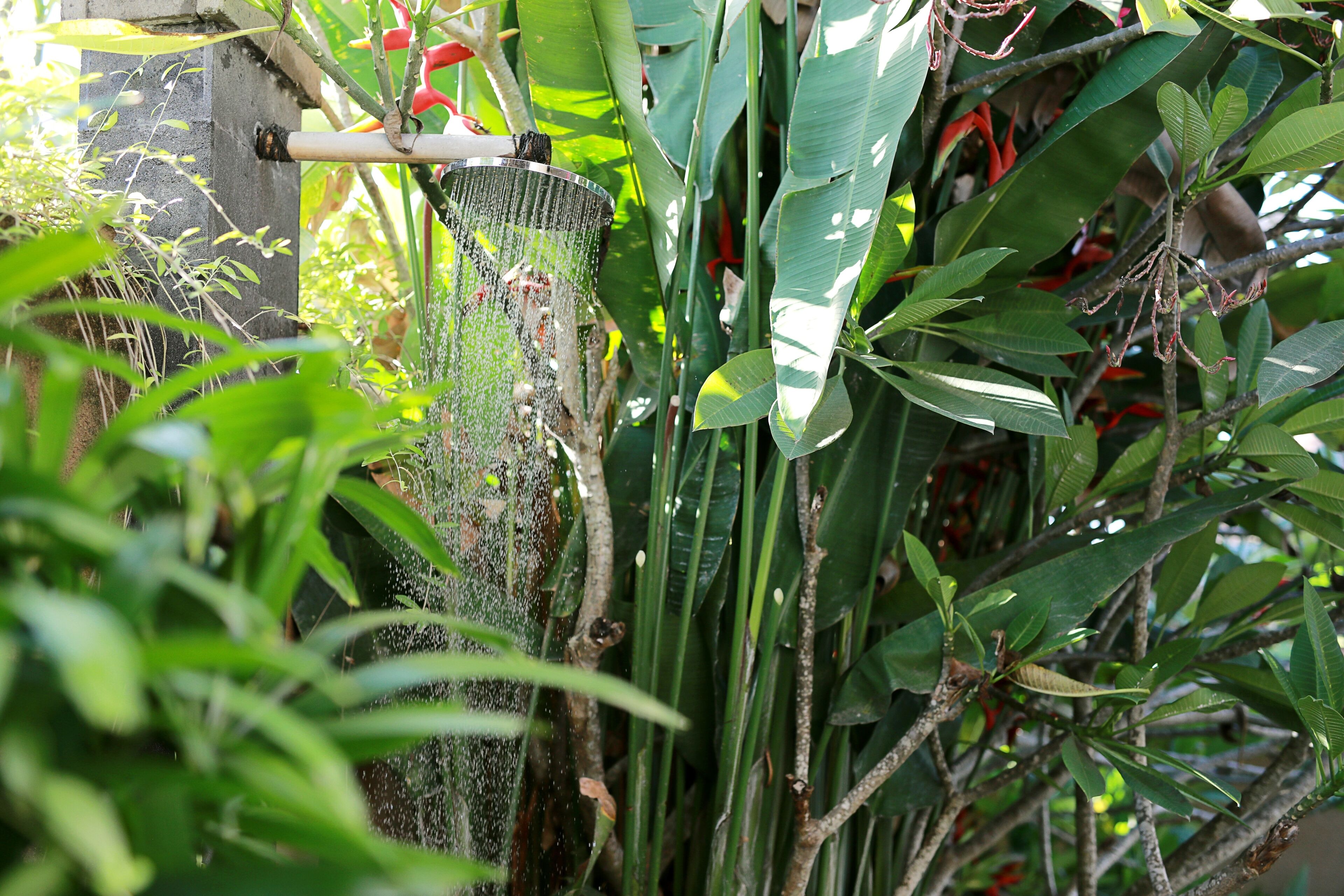 separate bathtub and shower, rainfall showerhead
