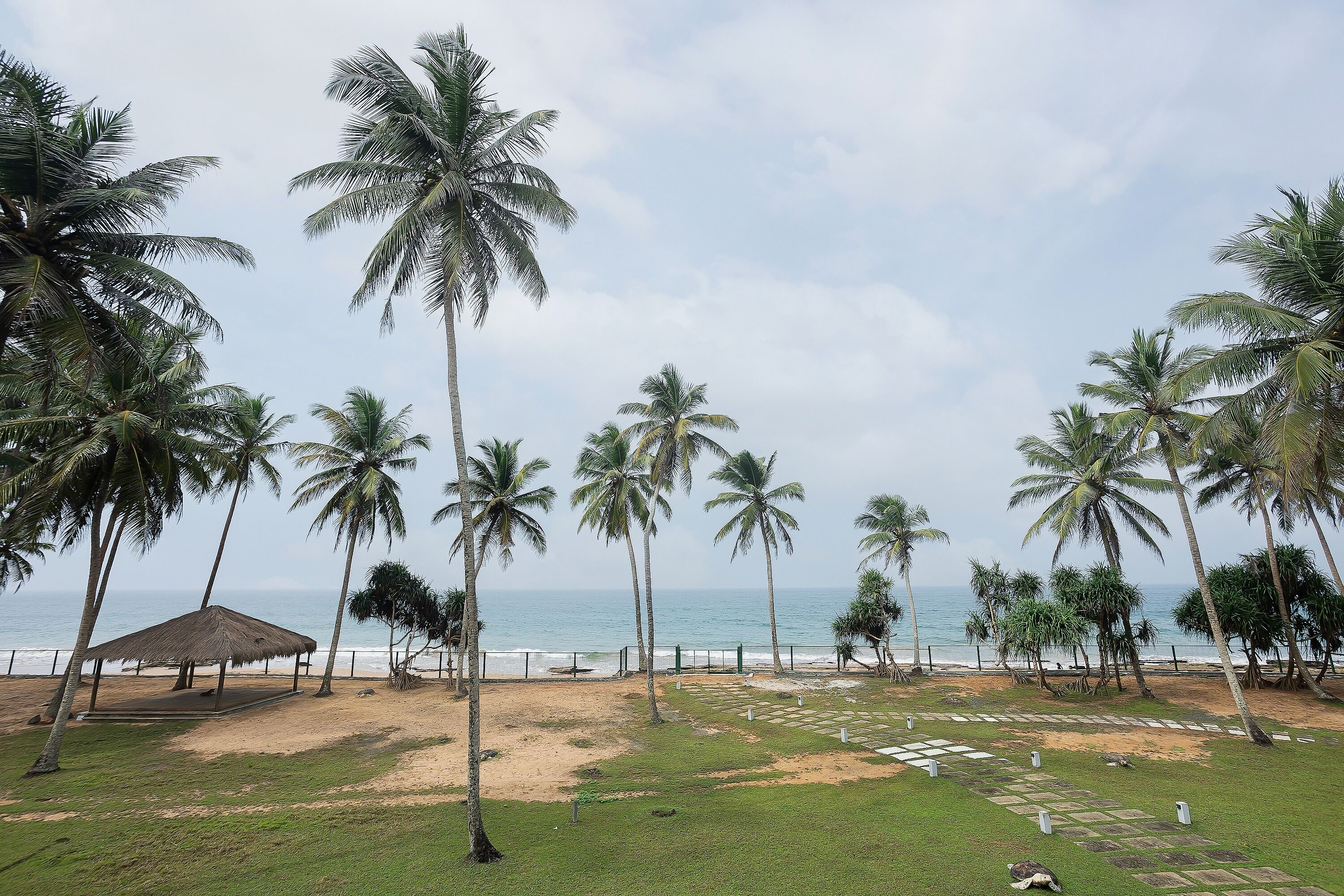A beach with palm trees, a thatched-roof structure, and a view of the ocean.