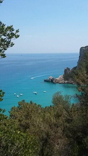 Ubicación cercana a la playa, tumbonas, sombrillas y toallas de playa