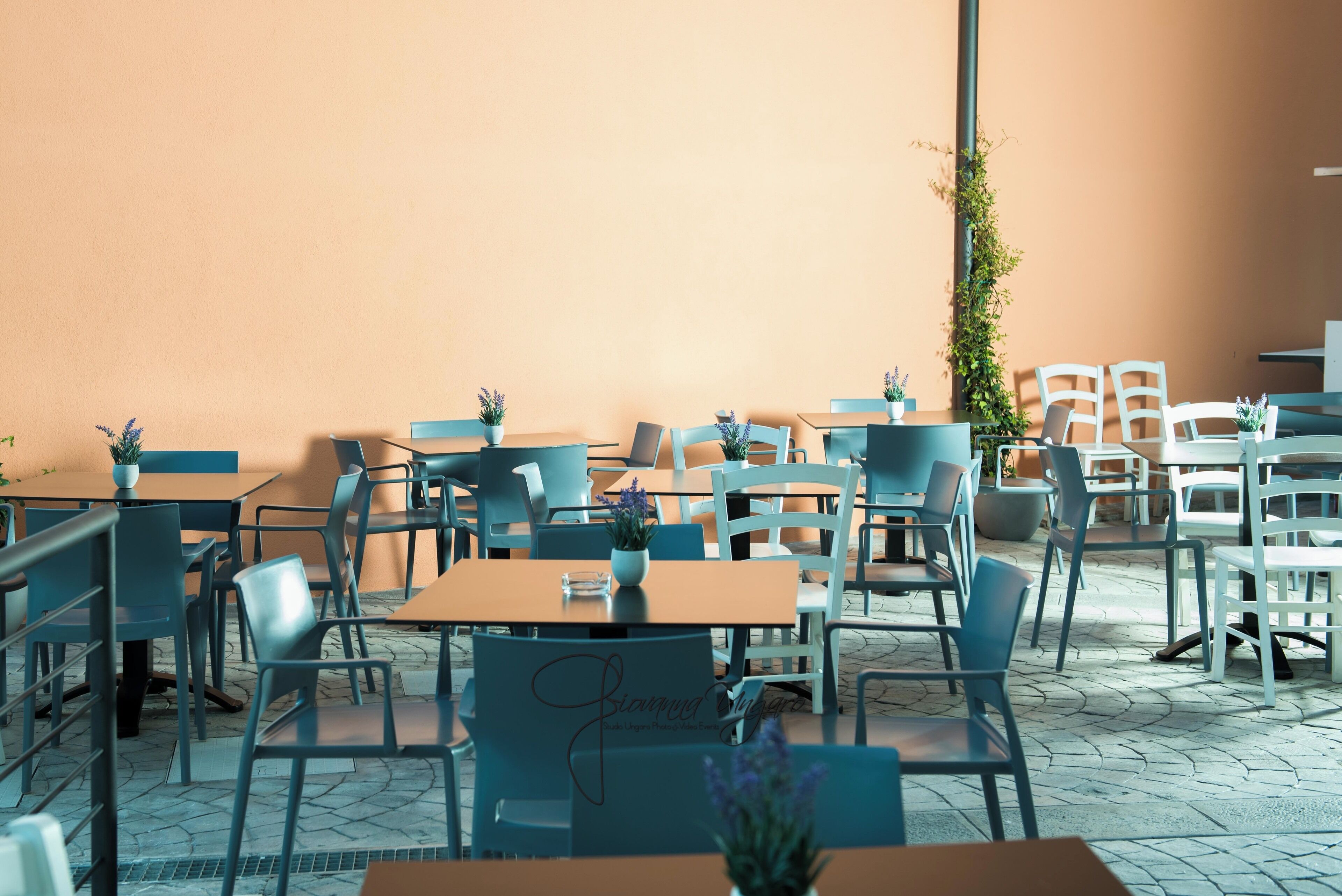 An outdoor café with tables and chairs arranged in rows, potted plants on tables, and a plain wall in the background.