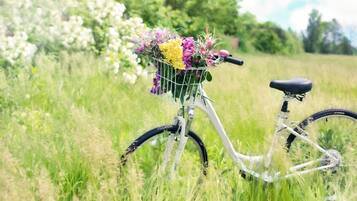 Una bicicleta con una cesta de flores estacionada en un campo de césped.