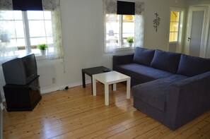 Flat-screen TV
