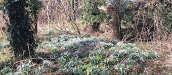 Marshwood Farm B&B