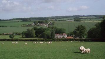 A rural landscape with a large field of sheep, a farmhouse, and rolling hills in the background.