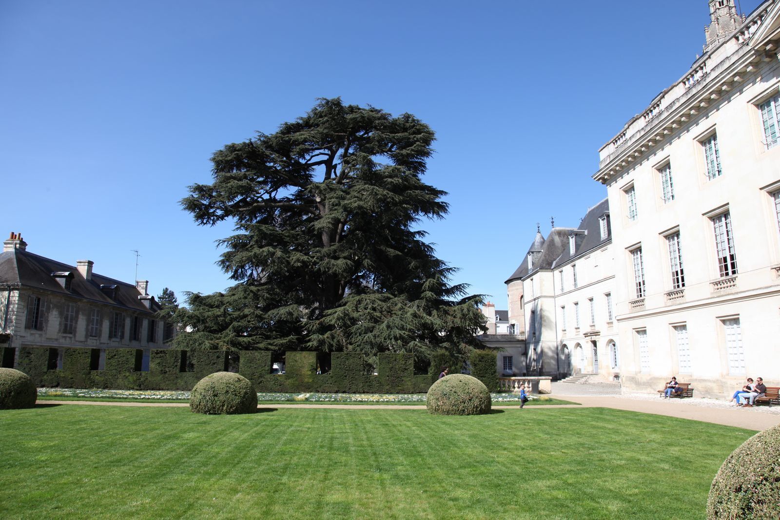 Un patio con un árbol grande, césped cuidado y arquitectura clásica.