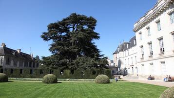Un patio con un árbol grande, césped cuidado y arquitectura clásica.