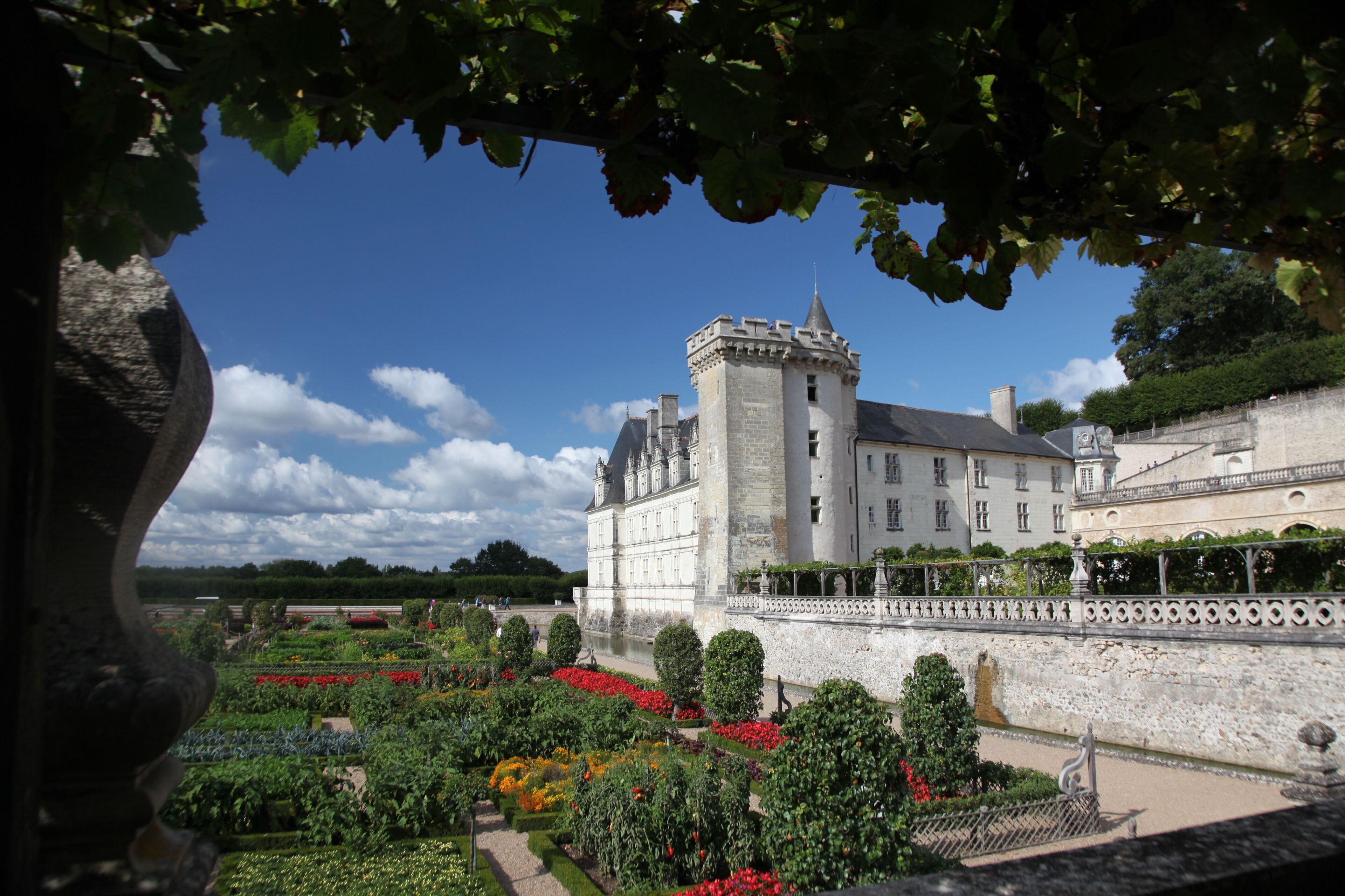 Foto - La Maison Jules