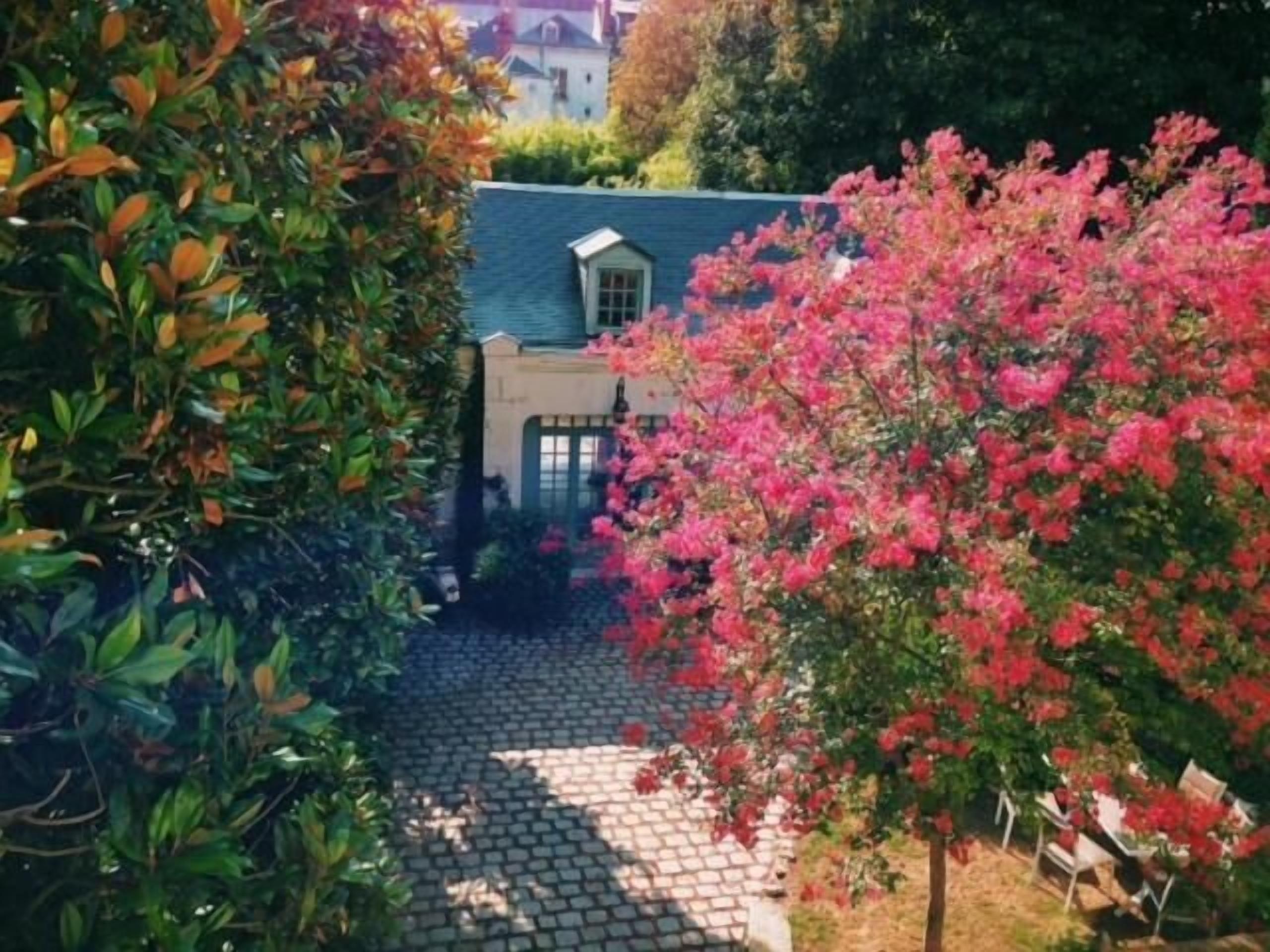 Foto - La Maison Jules