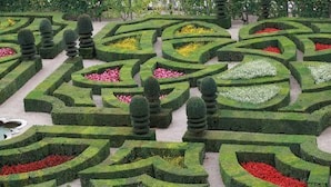 Un jardin aménagé avec le plus grand soin, doté de labyrinthes de haies aux formes géométriques et de sculptures végétales.
