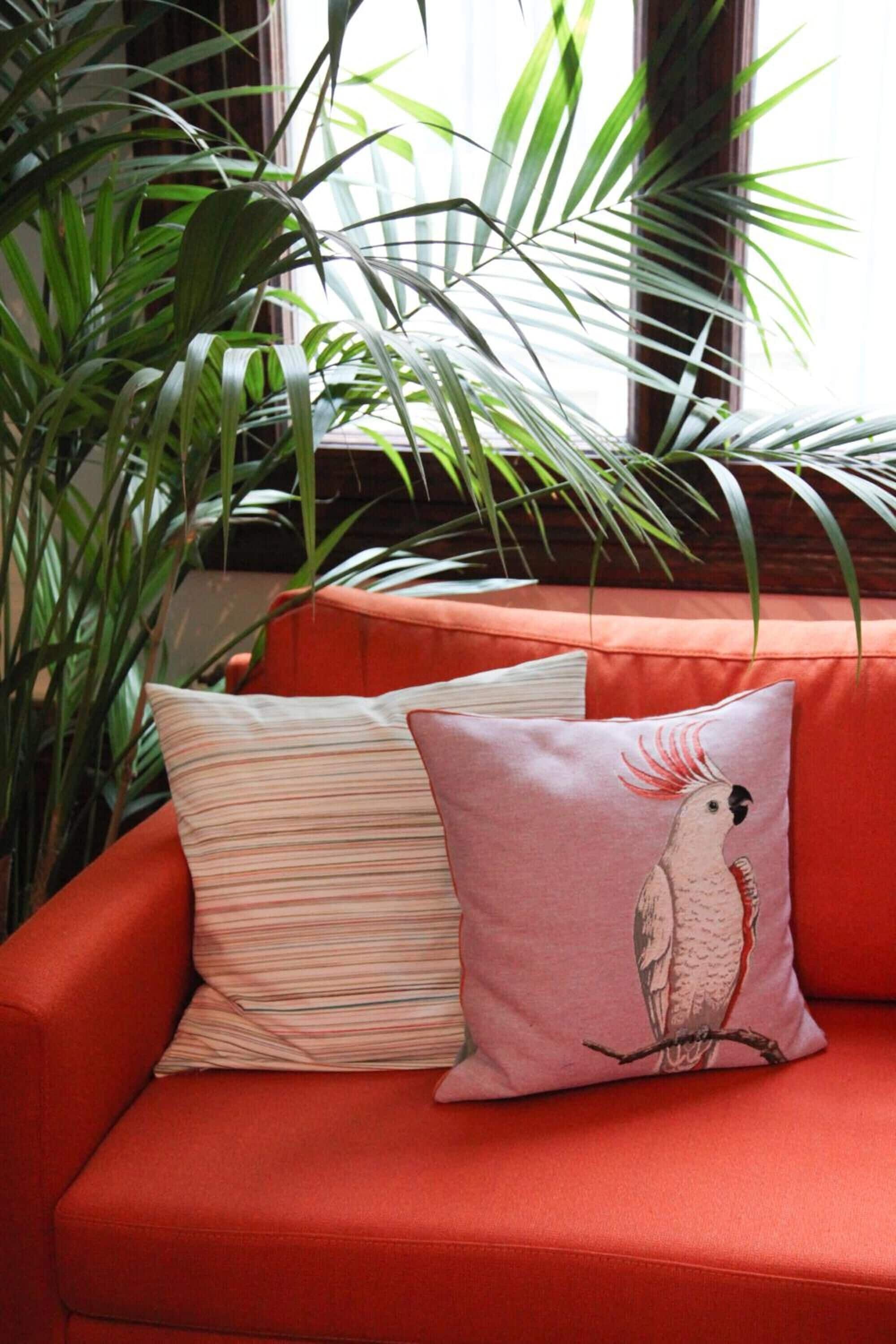 Foto - La Maison Jules