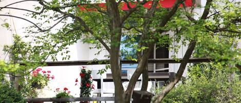 A building with a white exterior and red accents, surrounded by greenery and potted plants.