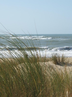 Una playa con olas y césped al frente.