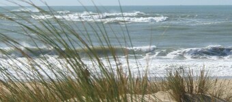 ル エロン サンドレ