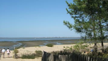 Pantai di sekitar