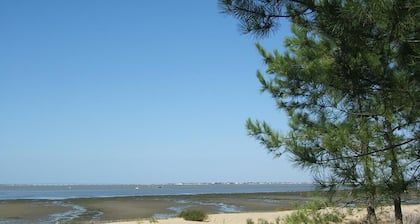 Le Héron Cendré