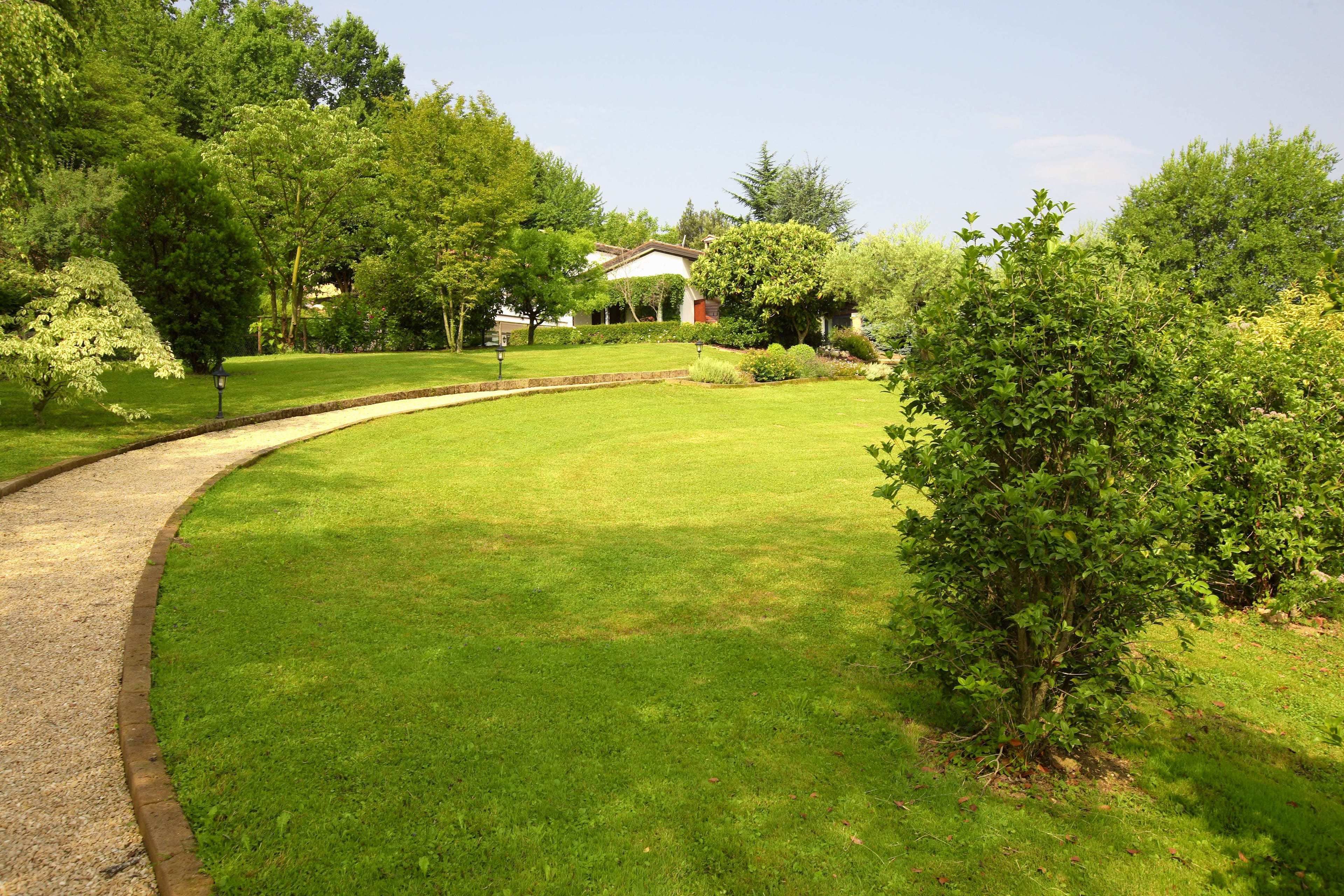 A well-maintained lawn with a curved pathway leading to a house surrounded by lush greenery.