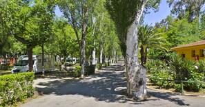 Exterior - Bungalows Camping Alpha Madrid (Getafe)