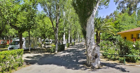 Außenbereich. Bungalows Camping Alpha Madrid