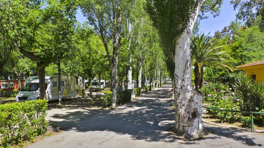Bungalows Camping Alpha Madrid