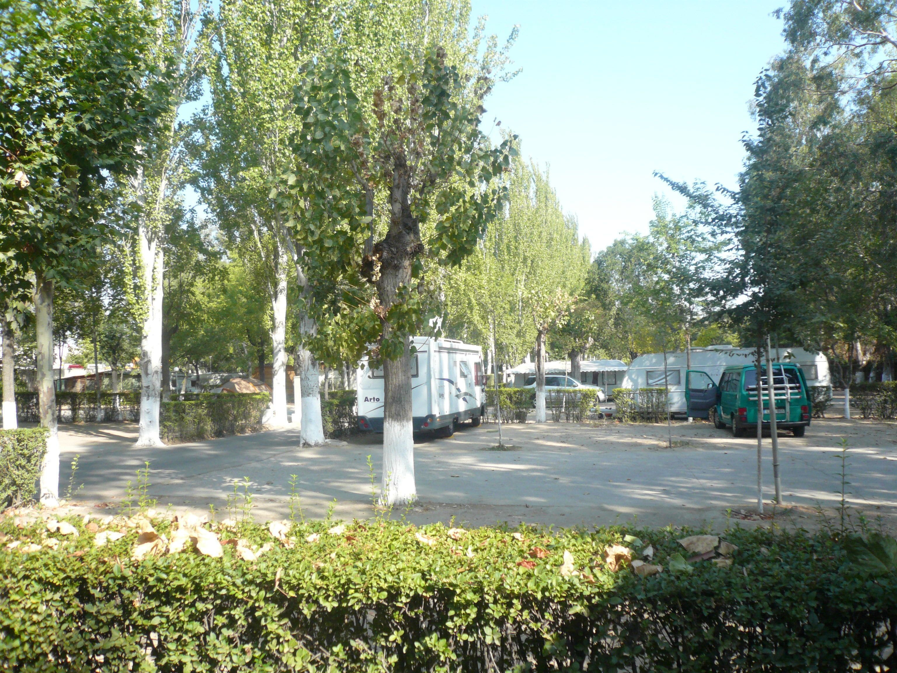 Un espace de stationnement où sont garés des camping-cars et un fourgon vert, le tout entouré d’arbres et de verdure.