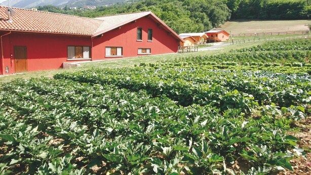 Un edificio rojo con múltiples ventanas y una puerta, rodeado por un campo de plantas verdes.