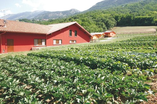 Fattoria Antica Forconia