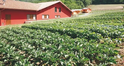 Fattoria Antica Forconia
