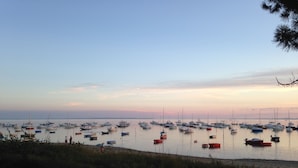 Un puerto deportivo con numerosas embarcaciones varadas durante la marea baja.
