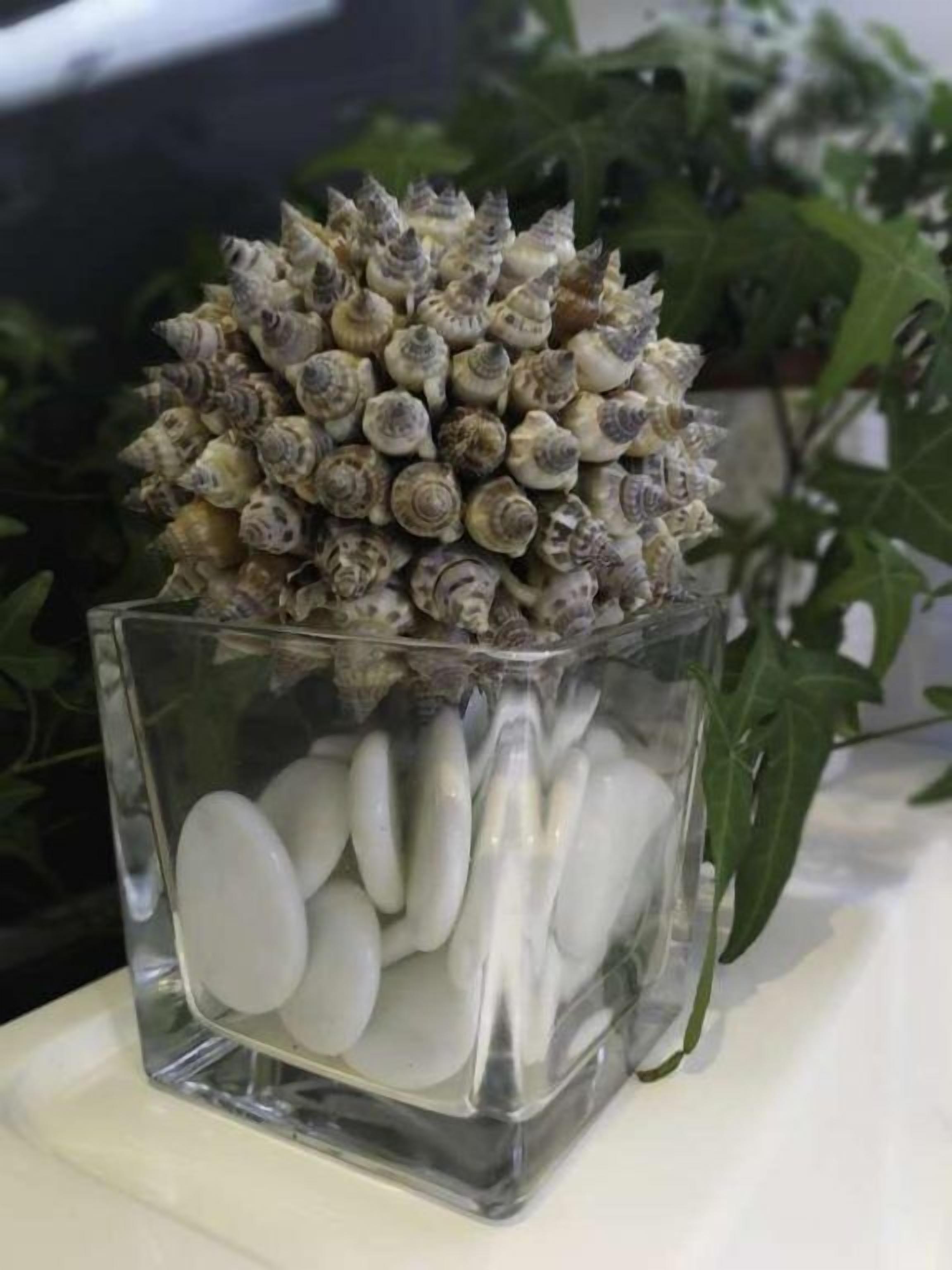 Un cubo de vidrio con caracolas y piedras blancas.