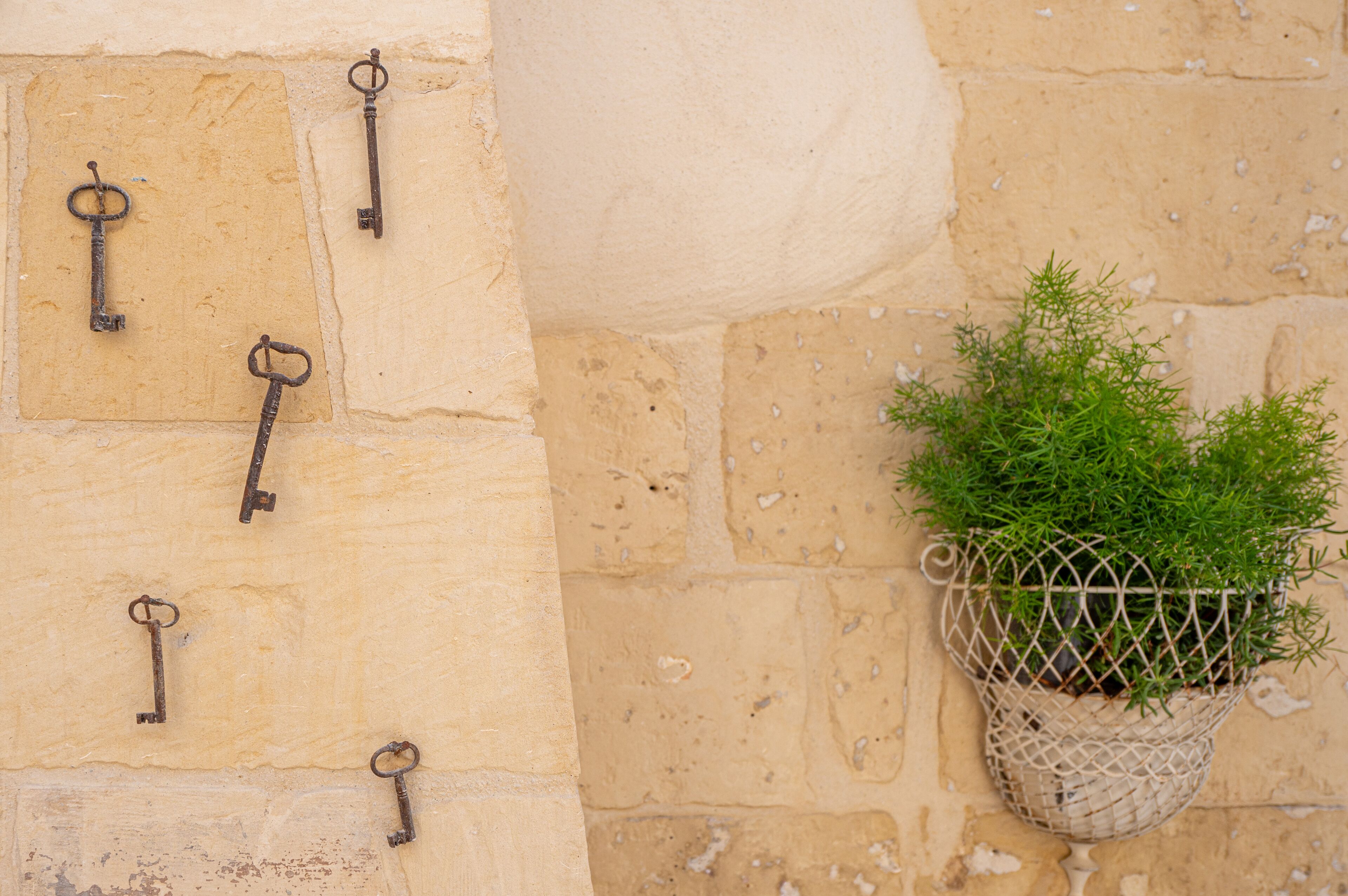 Un mur orné de plusieurs vieilles clés et d’un panier suspendu contenant une plante.
