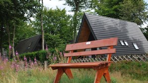 A wooden bench in a natural setting with a small house in the background.