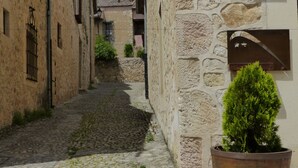 Una estrecha calle adoquinada flanqueada por edificios de piedra, con un pequeño árbol en maceta al frente.